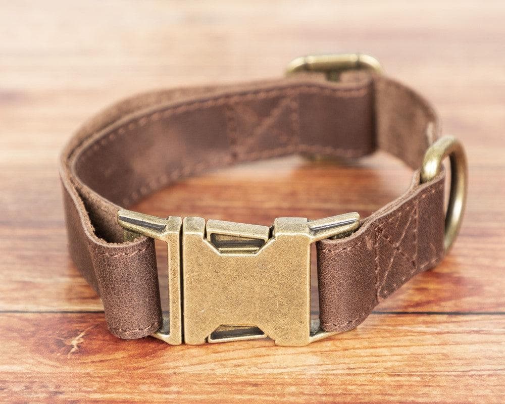 Leather Dog Collar in Dark Brown