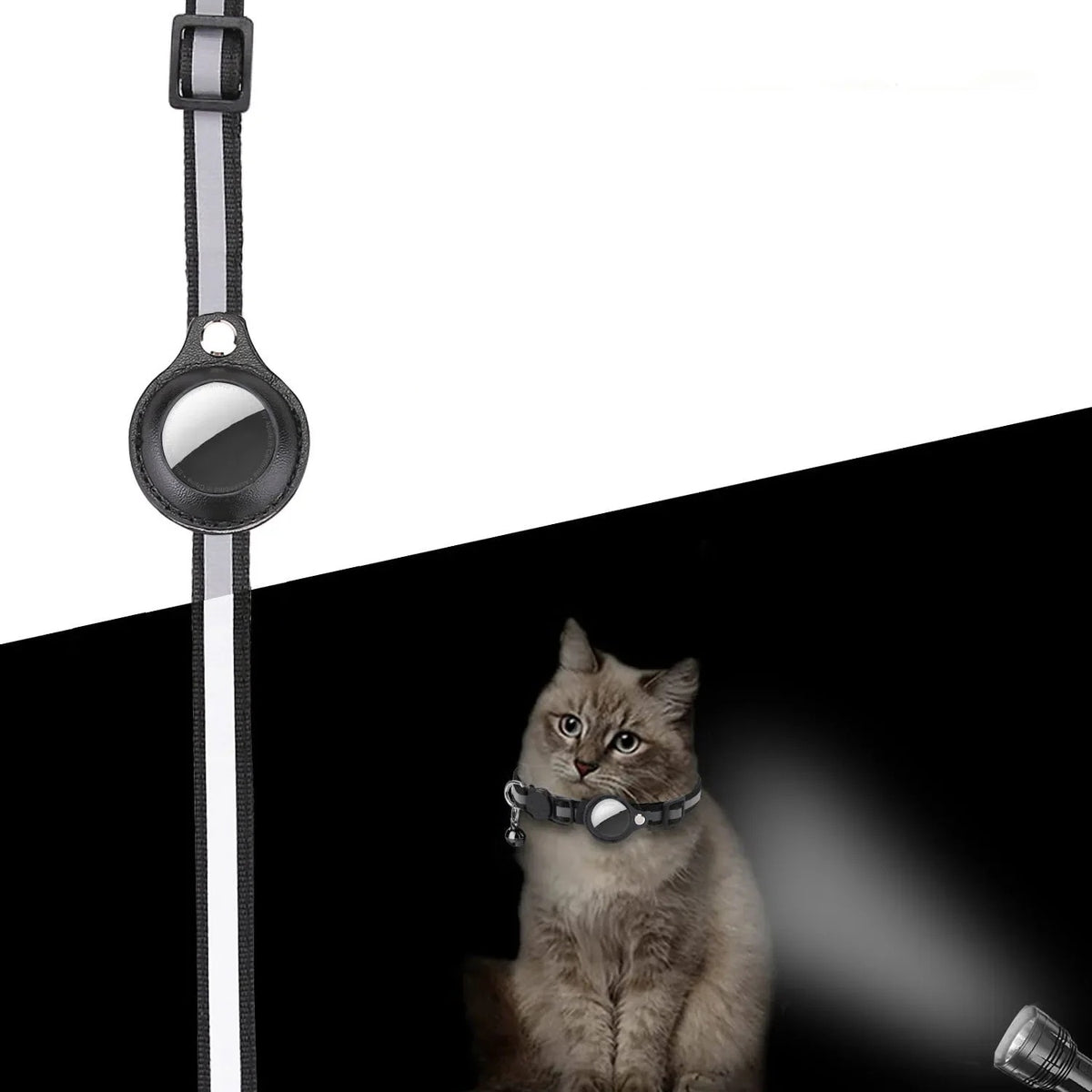 Reflective strip on the AirTag pet collar picking up torchlight in the dark