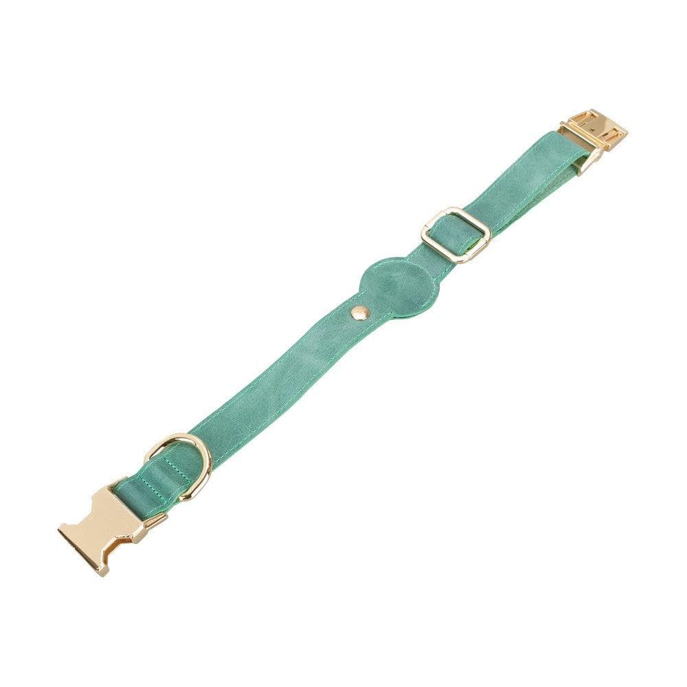 Leather Dog Collar in Chartreuse