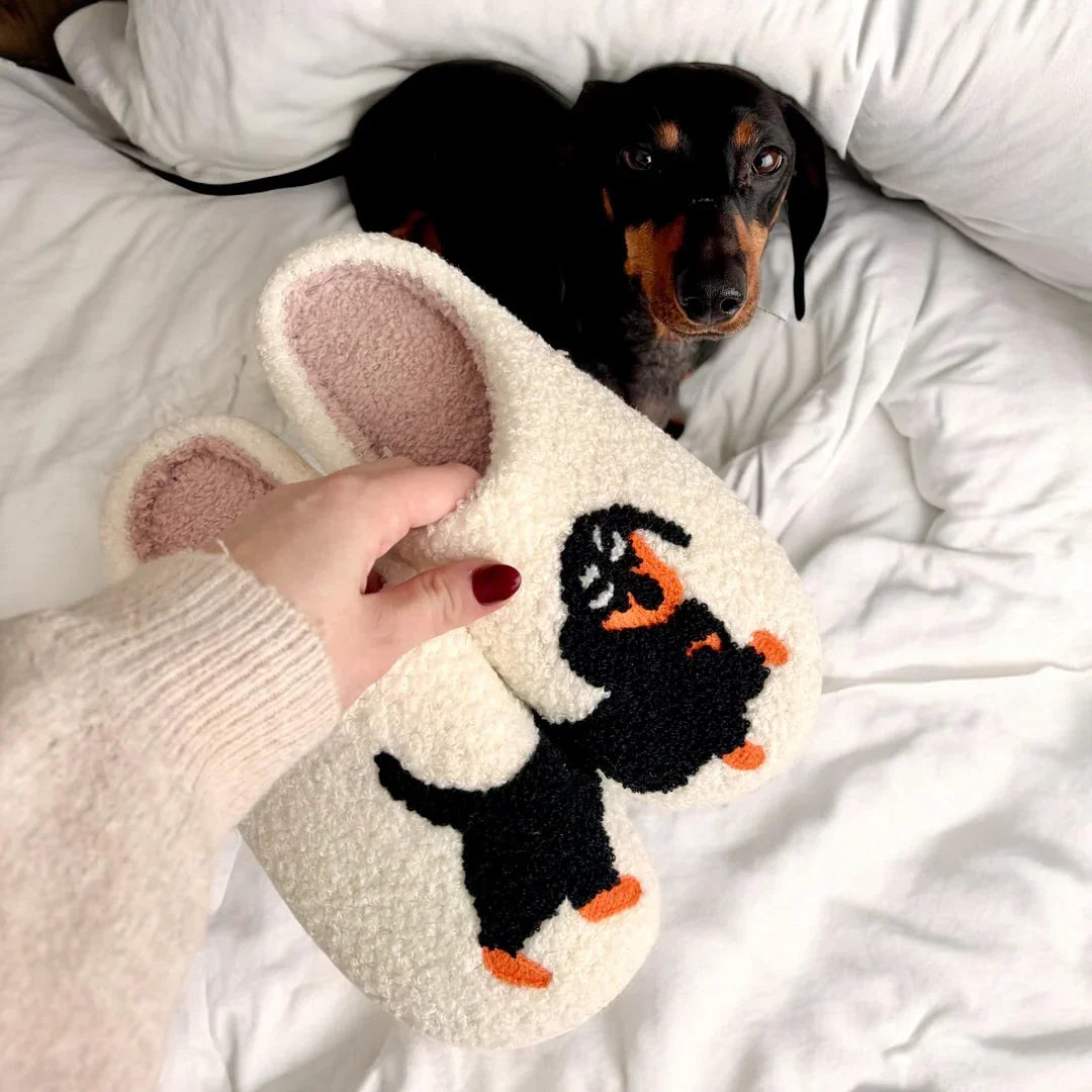 Embroidered dog and cat slippers in teddy fleece