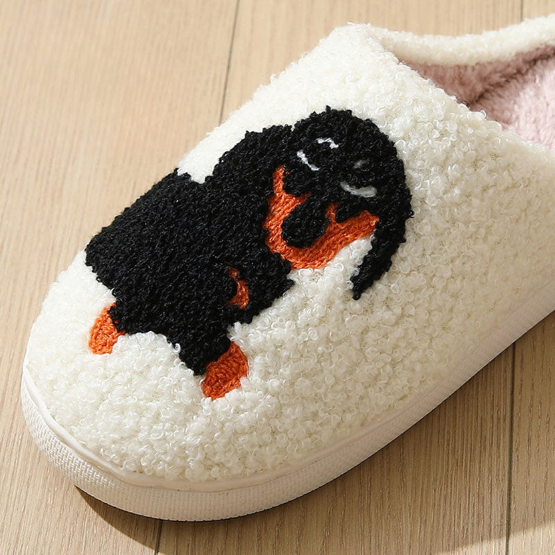 Embroidered dog and cat slippers in teddy fleece